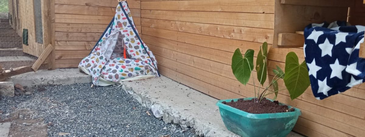 WhatsApp Image 2024-03-08 at 14.46.23 (1)